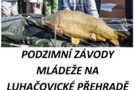 zvody-mlde