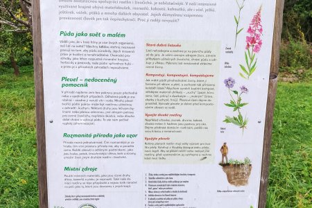 Dobrá zpráva, plevel je podle odborníků kamarád.