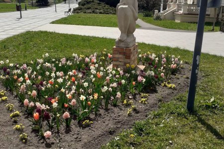 V lázeňském areálu vrcholí přípravy na novou sezonu. Foto: Lázně Luhačovice