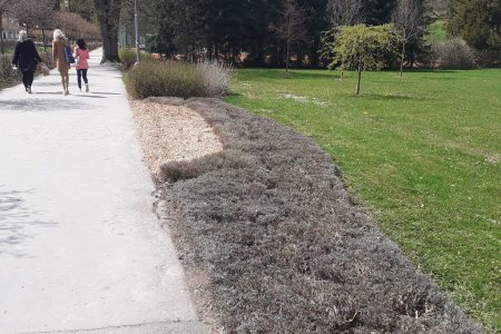 V lázeňském areálu vrcholí přípravy na novou sezonu. Foto: Lázně Luhačovice