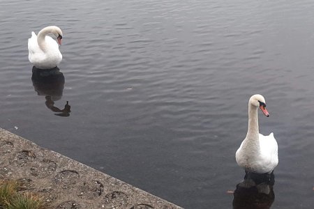 Foto: redakce luhacovice.cz