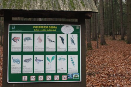 Foto: redakce luhacovice.cz