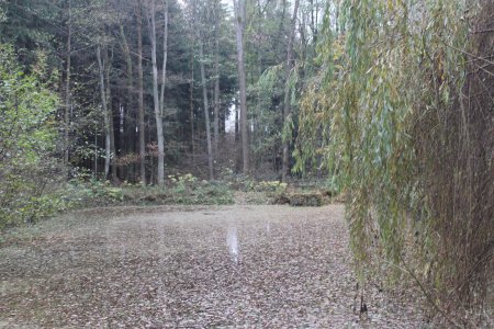 Foto: redakce luhacovice.cz