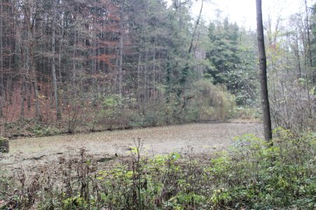 Foto: redakce luhacovice.cz