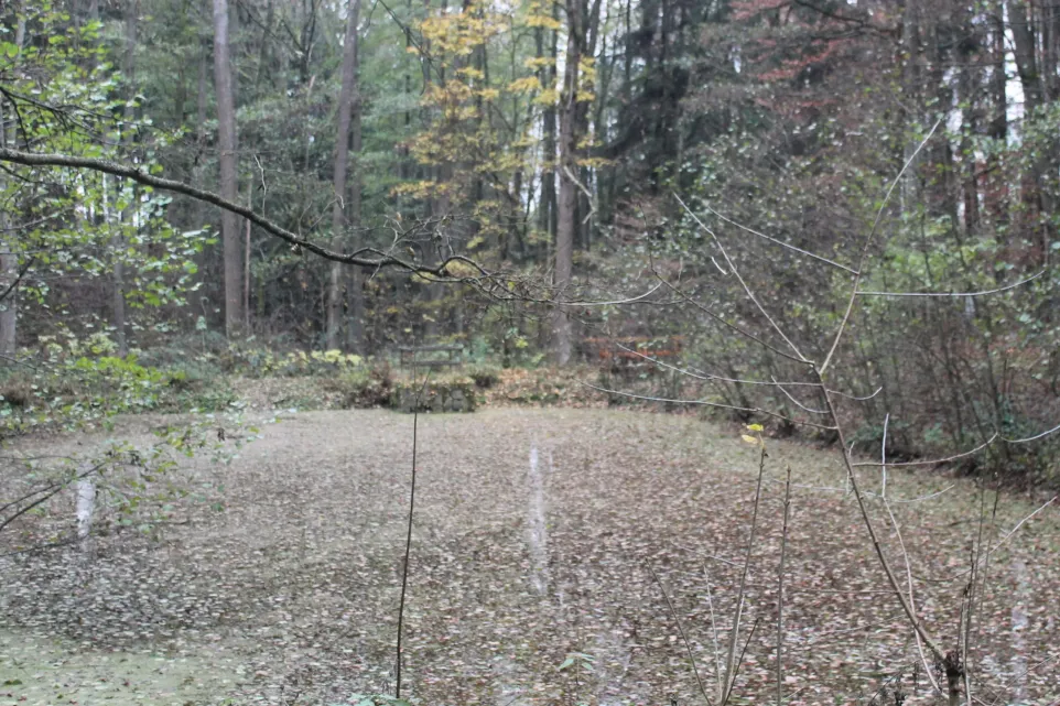 Foto: redakce luhacovice.cz