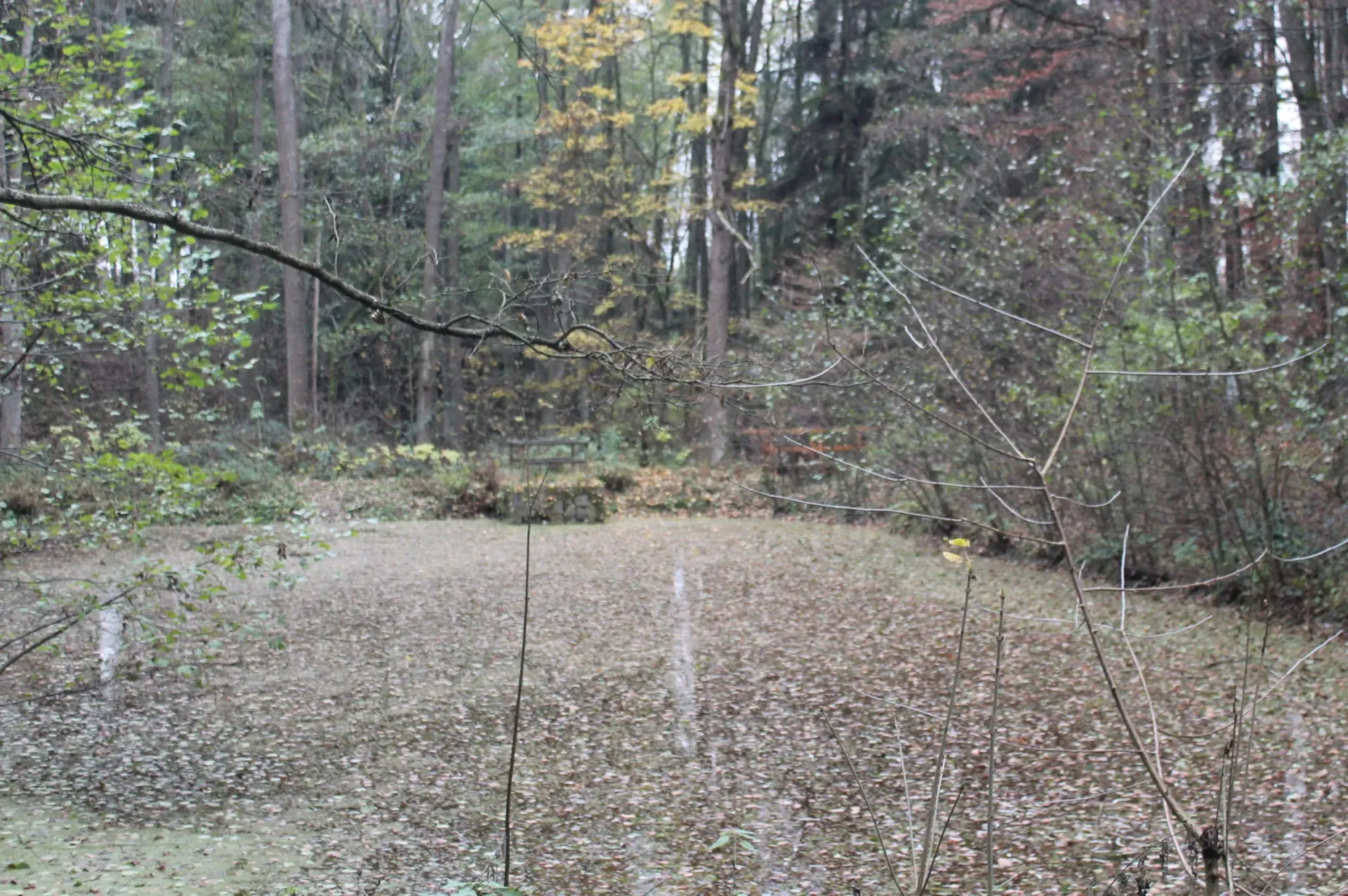 Foto: redakce luhacovice.cz