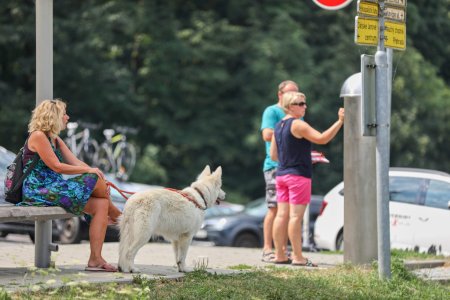 Foto: Milan Mikšík