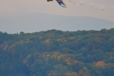 Foto: Milan Mikšík