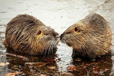 Foto: Město Luhačovice