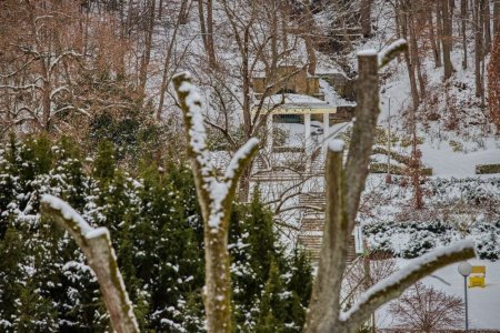 Foto: Milan Mikšík