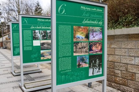 Foto: Milan Mikšík