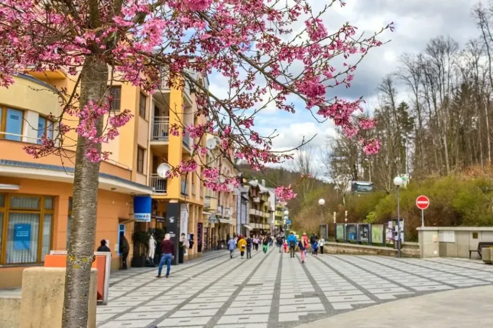 Foto: Milan Mikšík