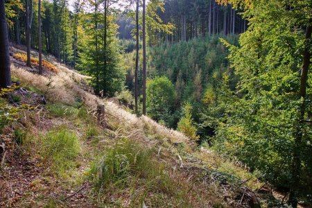 Foto: Visit Luhačovice (FB)