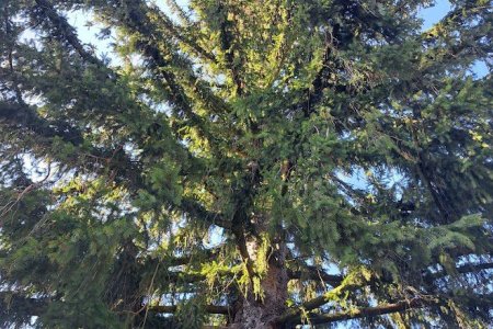 Foto: Redakce luhacovice.cz