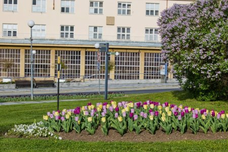 Foto: Milan Mikšík