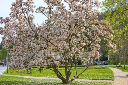 Foto: Milan Mikšík