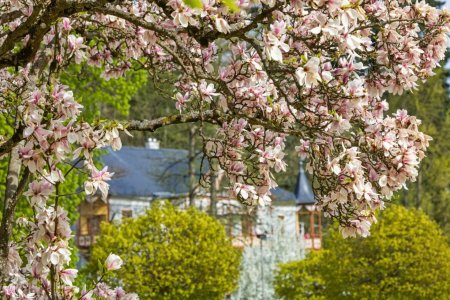 Foto: Milan Mikšík