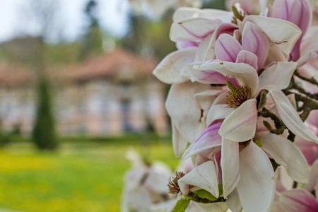 Foto: Milan Mikšík