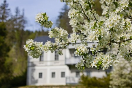 Foto: Milan Mikšík