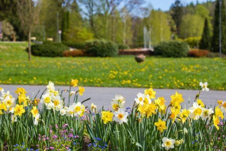 Foto: Milan Mikšík