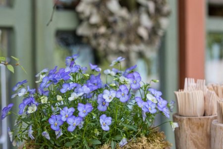 Foto: Milan Mikšík