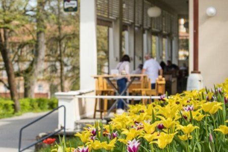 Foto: Milan Mikšík