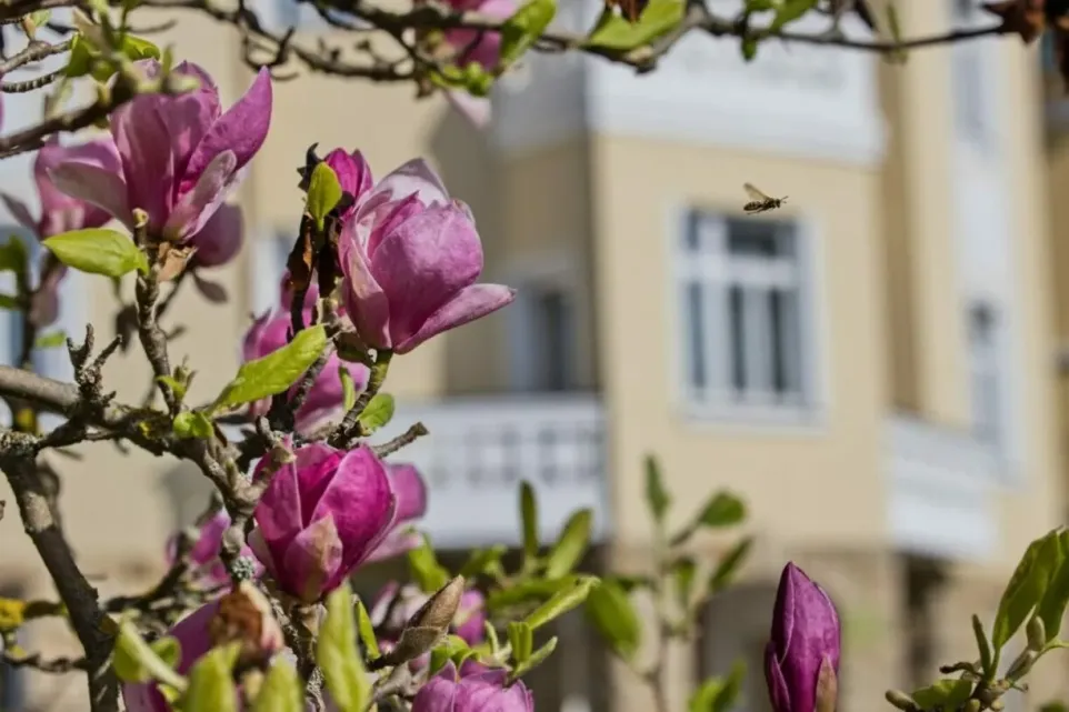 Foto: Milan Mikšík