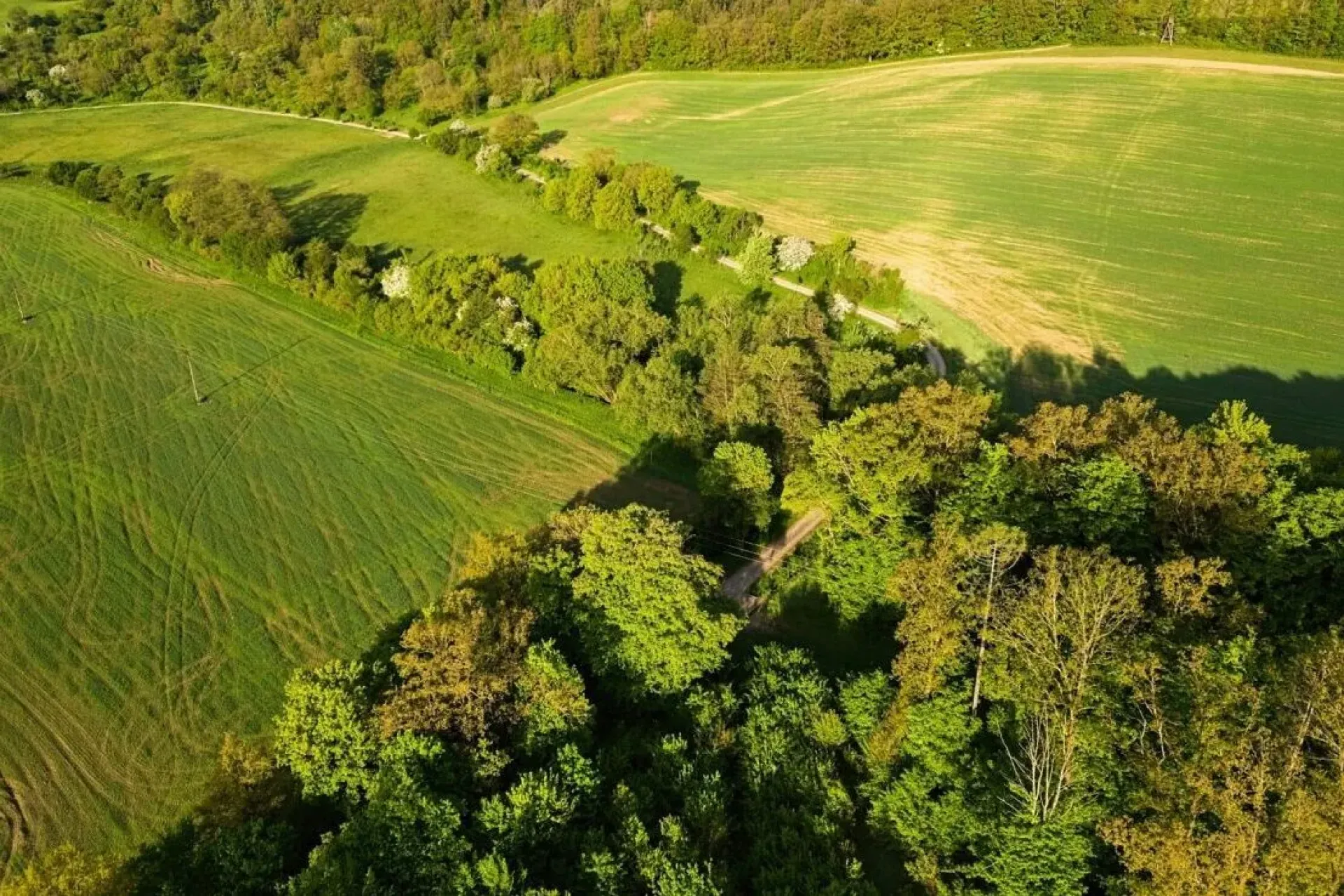 Foto: Město Luhačovice