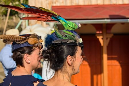 Foto: Milan Mikšík