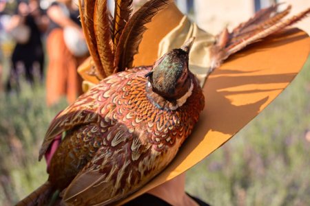 Foto: Milan Mikšík